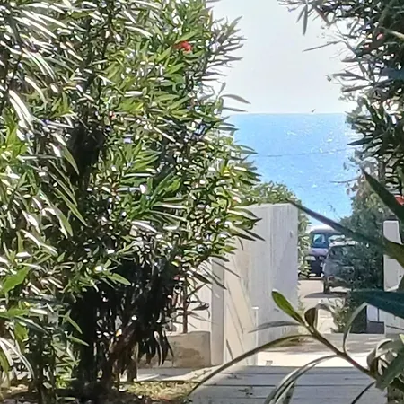 And Garden *